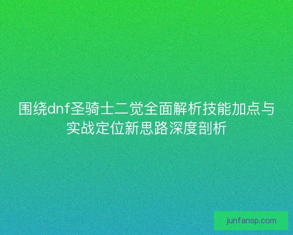 围绕dnf圣骑士二觉全面解析技能加点与实战定位新思路深度剖析