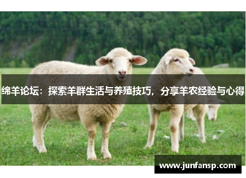 绵羊论坛：探索羊群生活与养殖技巧，分享羊农经验与心得